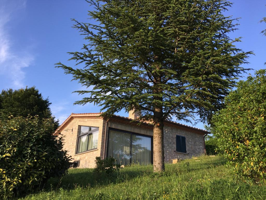 Agricola Caicucci Villa Montone  Cameră foto
