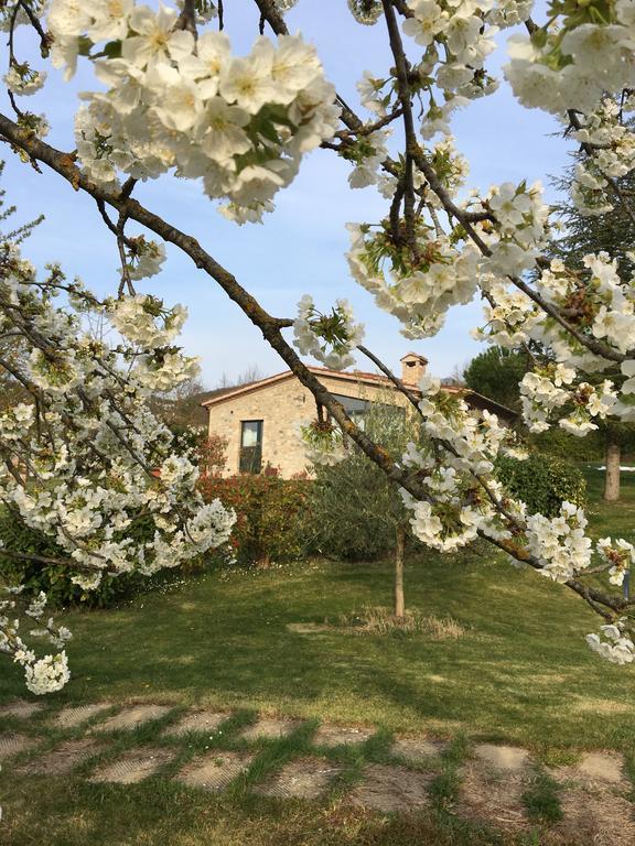 Agricola Caicucci Villa Montone  Exterior foto
